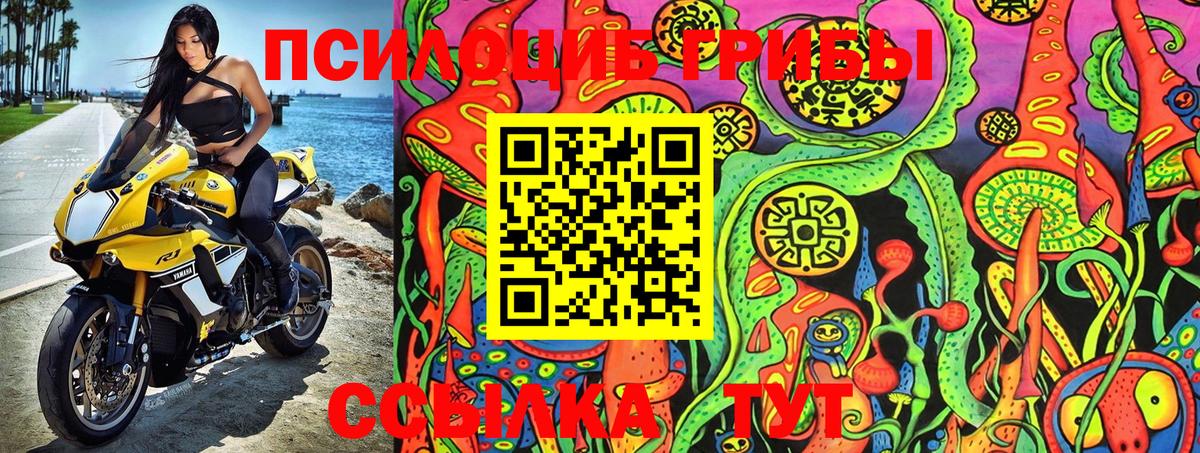 Галлюциногенные грибы прущие грибы  Тында 